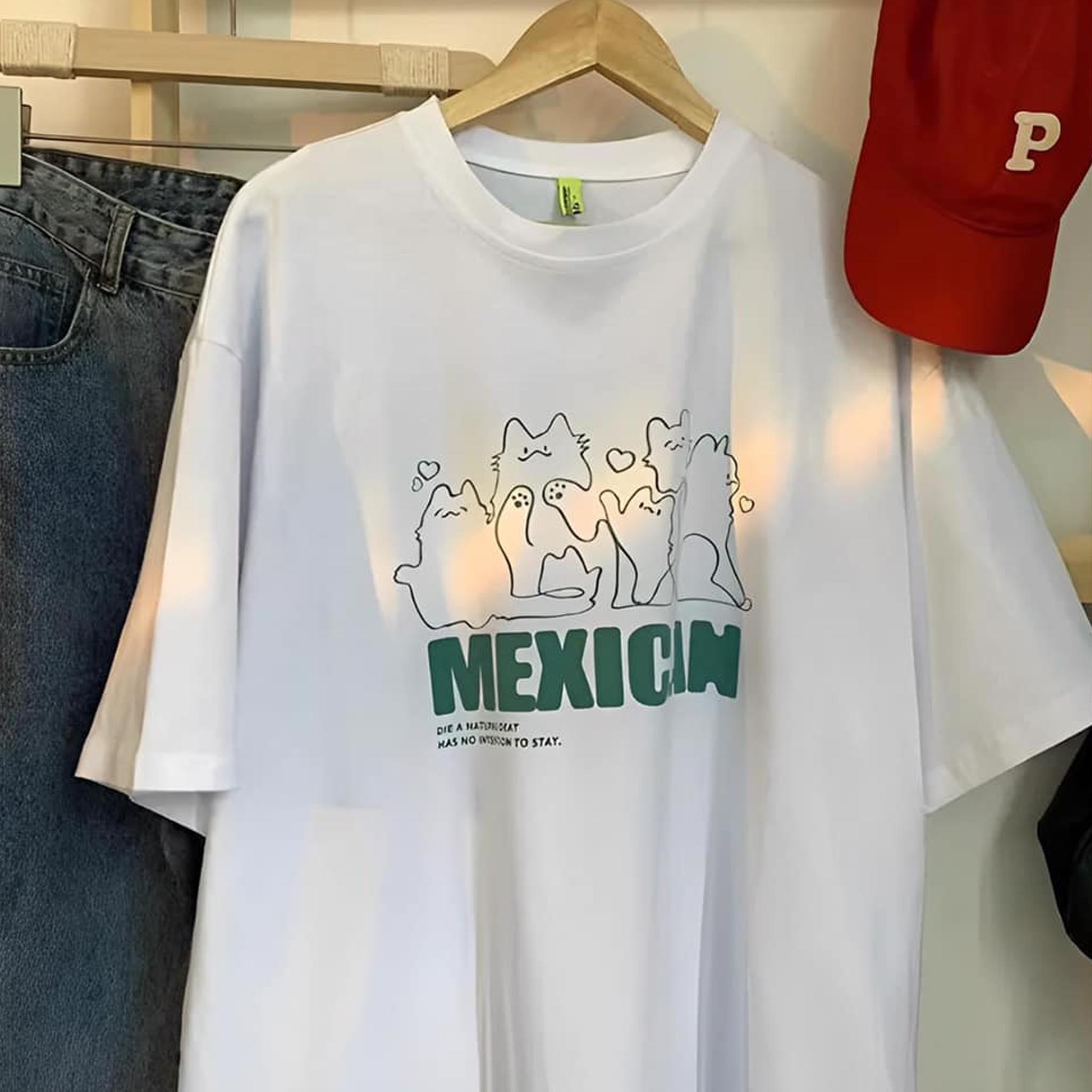 Premium Oversized t-shirt